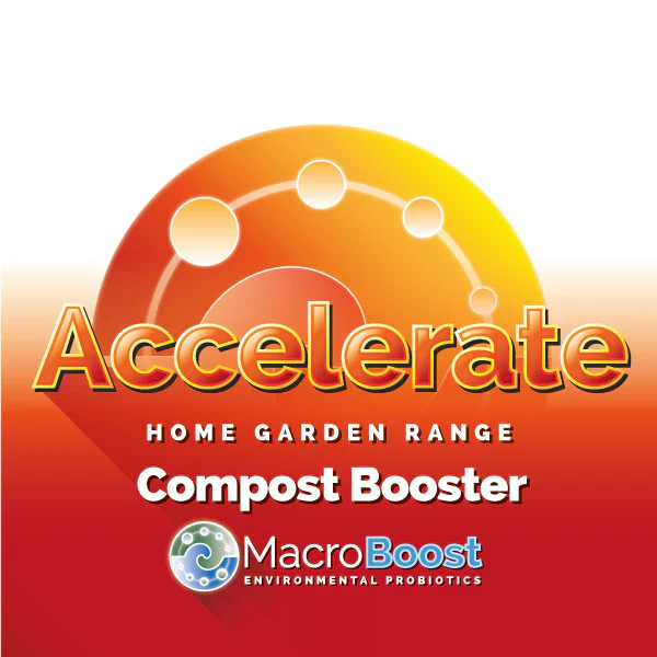 ACCELERATE 1L