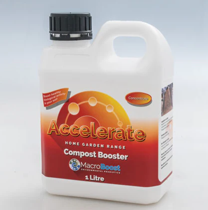 ACCELERATE 1L - Image 2