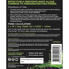 ALGAE BLOCK 60G - Image 2