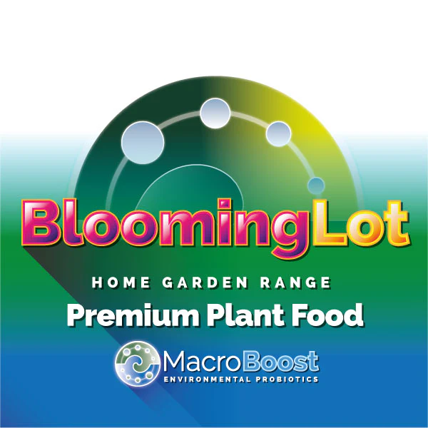 BLOOMING LOT 1L - Image 2