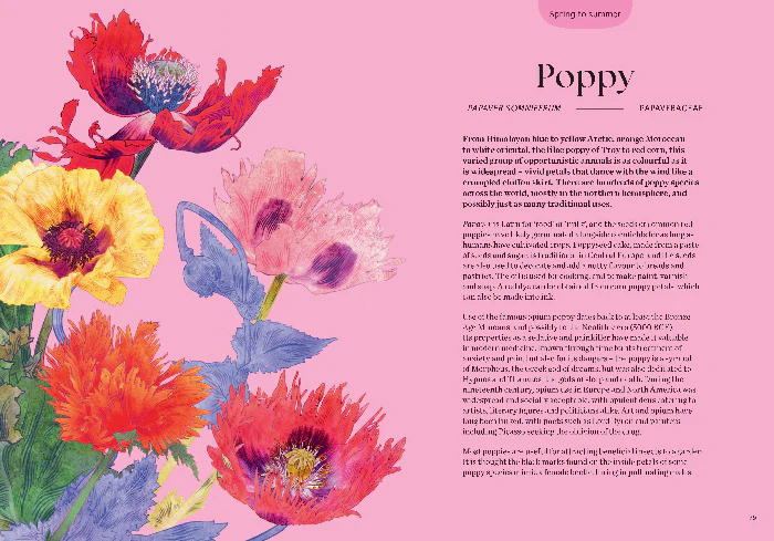 BLOSSOM - Image 3