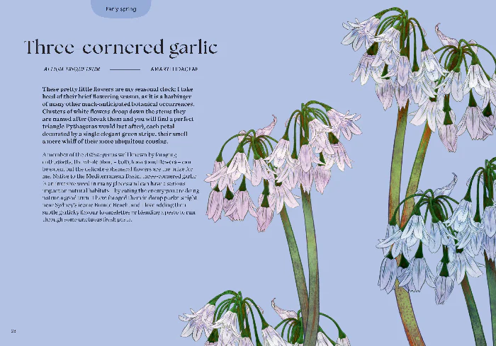 BLOSSOM - Image 5