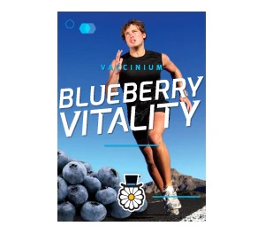 BLUEBERRY VITALITY - Image 3