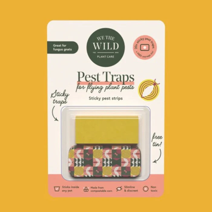 COMPOSTABLE FUNGUS GNAT TRAPS