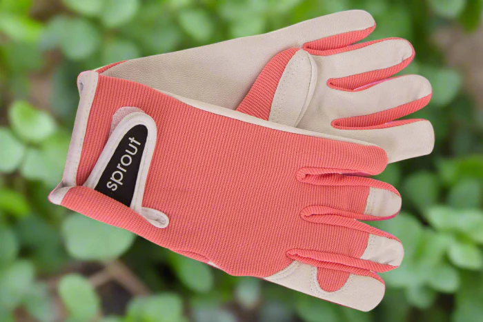 CORAL - SPROUT LADIES GOATSKIN GLOVES - Image 2