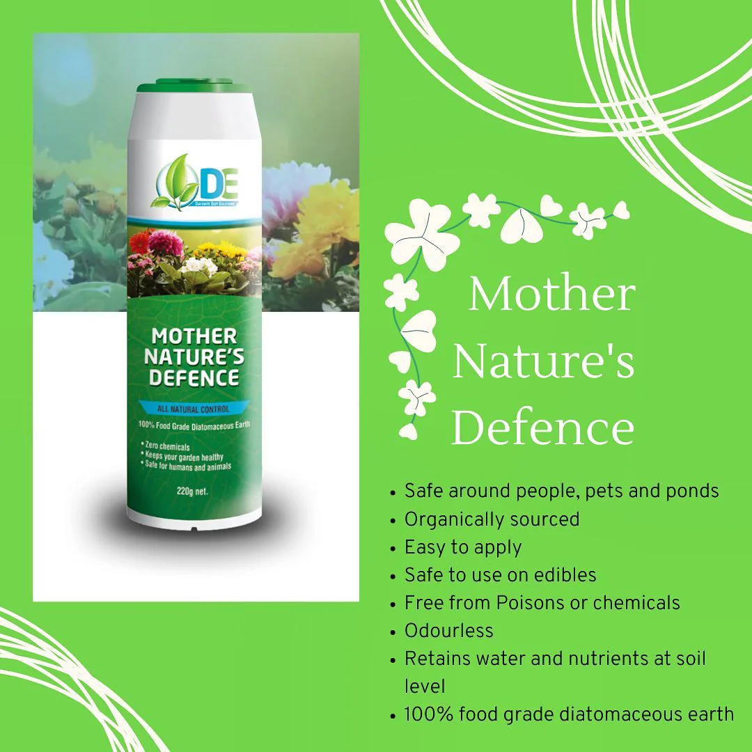 DIATOMACEOUS EARTH 220GR - Image 3