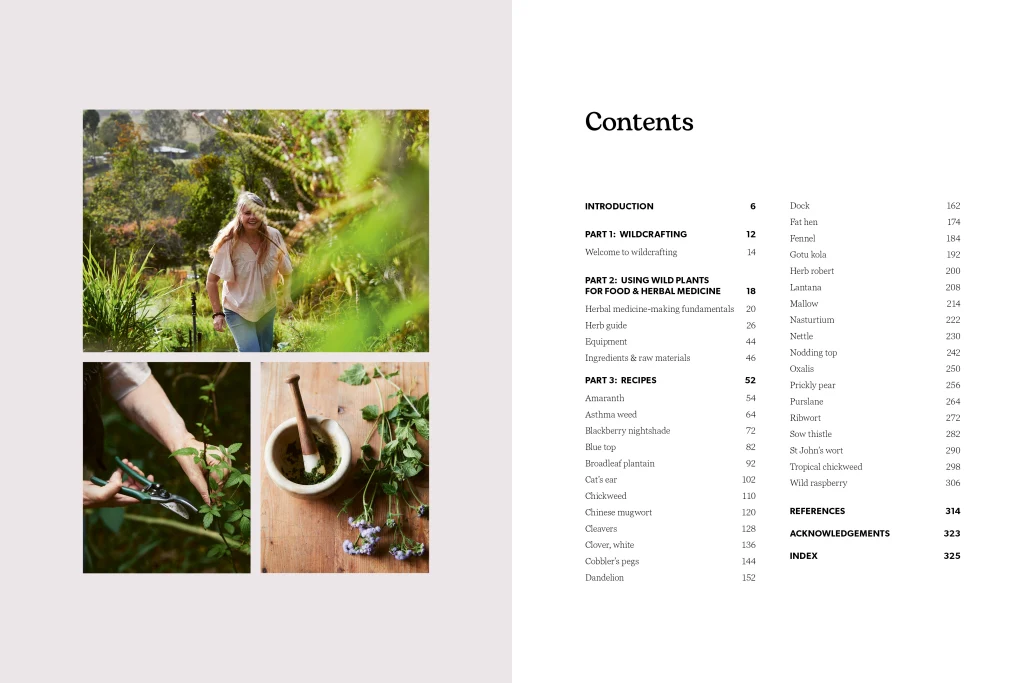 FROM THE WILD - Image 2