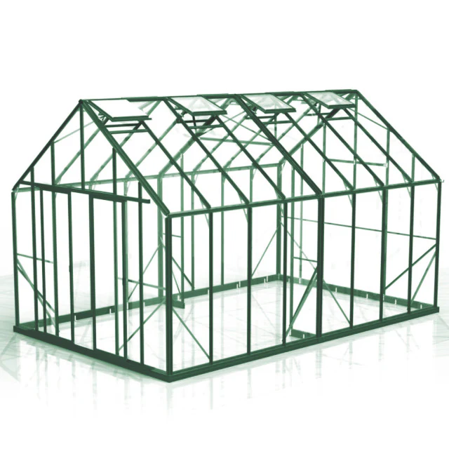 GREENHOUSE 10X16 POLY