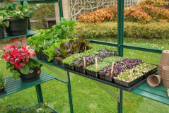 GREENHOUSE 8X10 POLY - Image 14