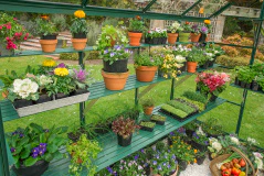 GREENHOUSE 8X10 POLY - Image 15