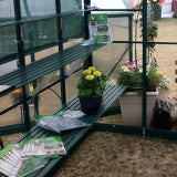 GREENHOUSE 8X8 GLASS - Image 9