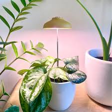INSTANT SUN GROW LAMP We the Wild - Image 2