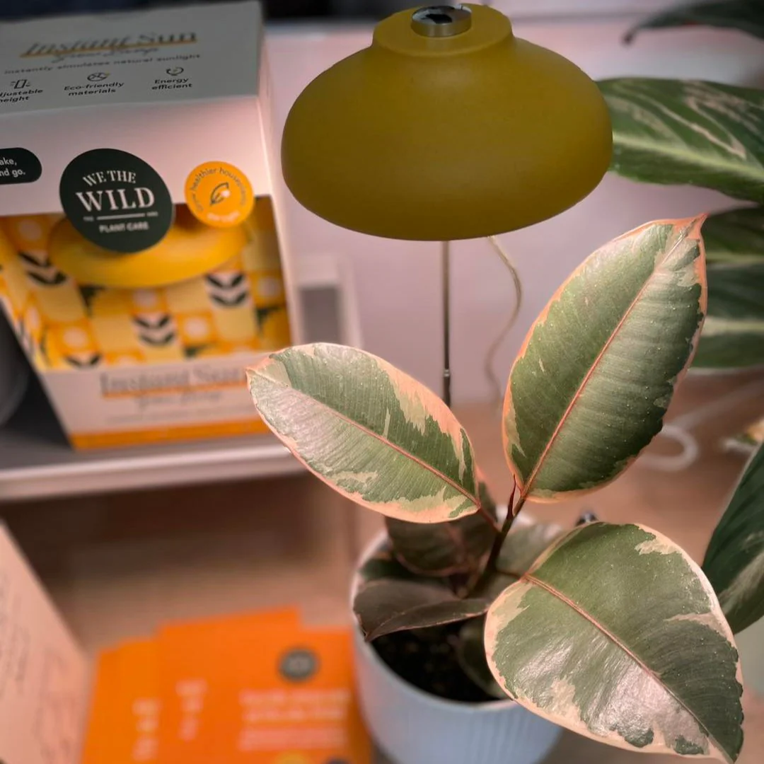 INSTANT SUN GROW LAMP We the Wild - Image 4
