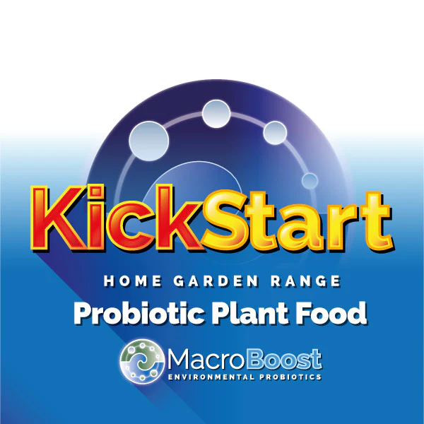 KICKSTART 1L - Image 2