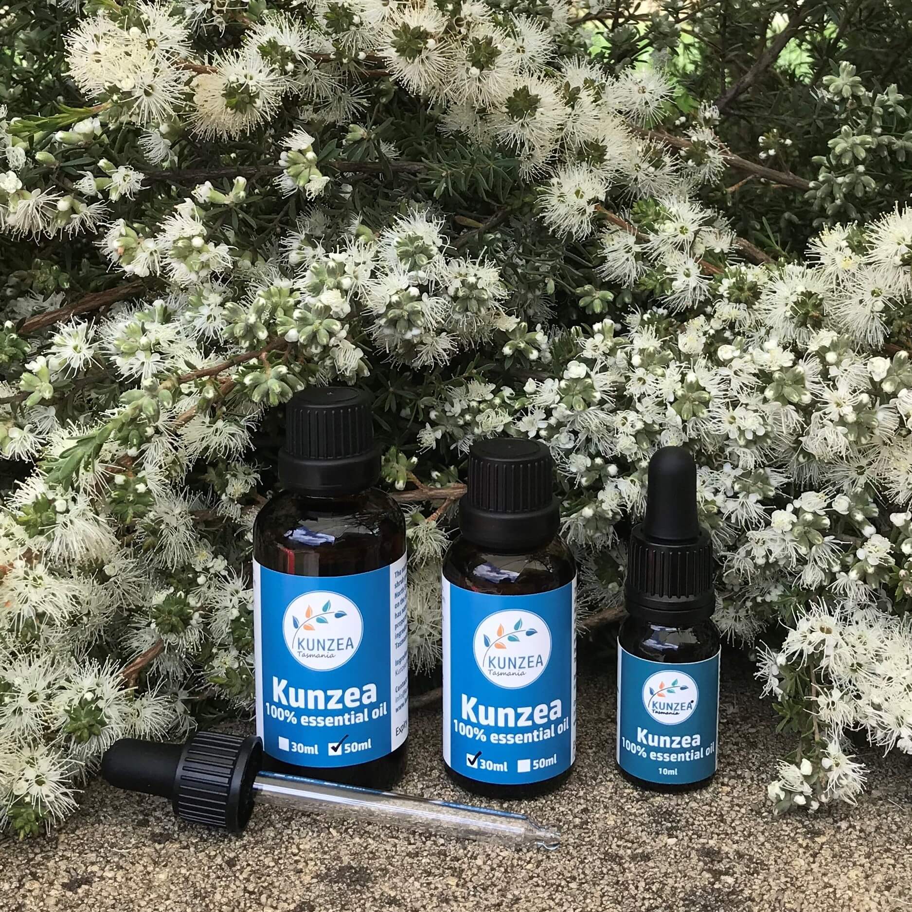 KUNZEA ESSENTIAL OIL 10ml - Image 4