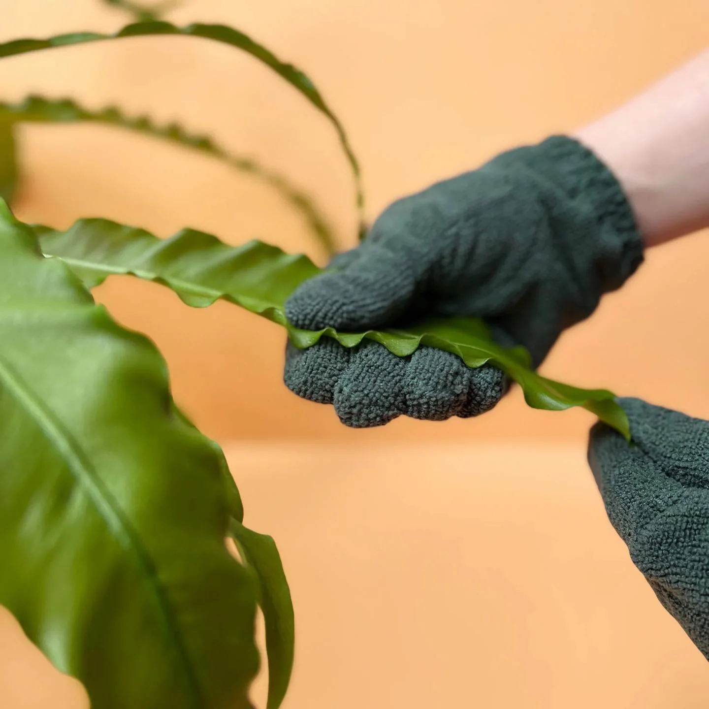 LEAF CLEANING GLOVES - Image 5