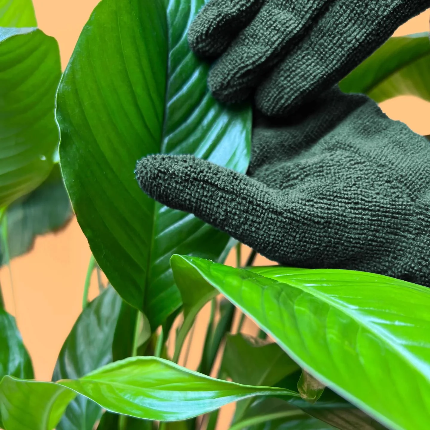 LEAF CLEANING GLOVES - Image 6