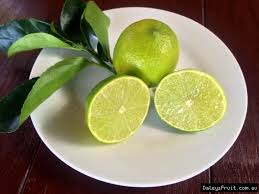 LIME TAHITIAN DWARF 20CM - Image 3