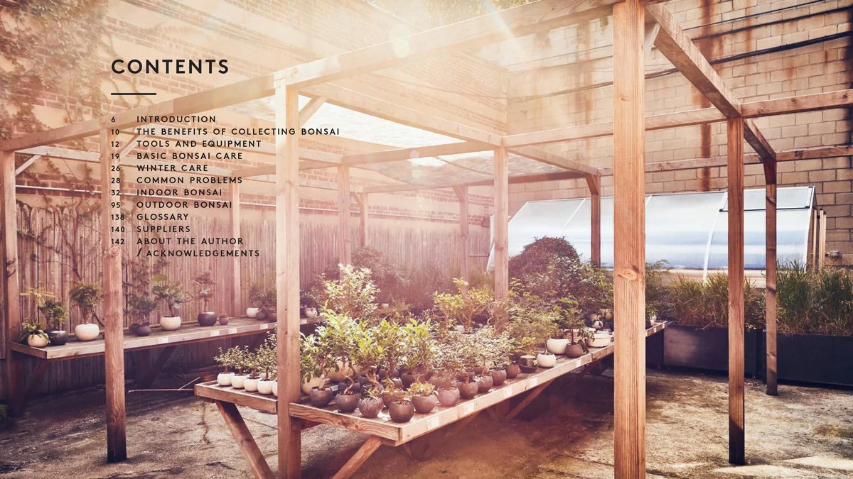 LITTLE BOOK OF BONSAI - Image 2
