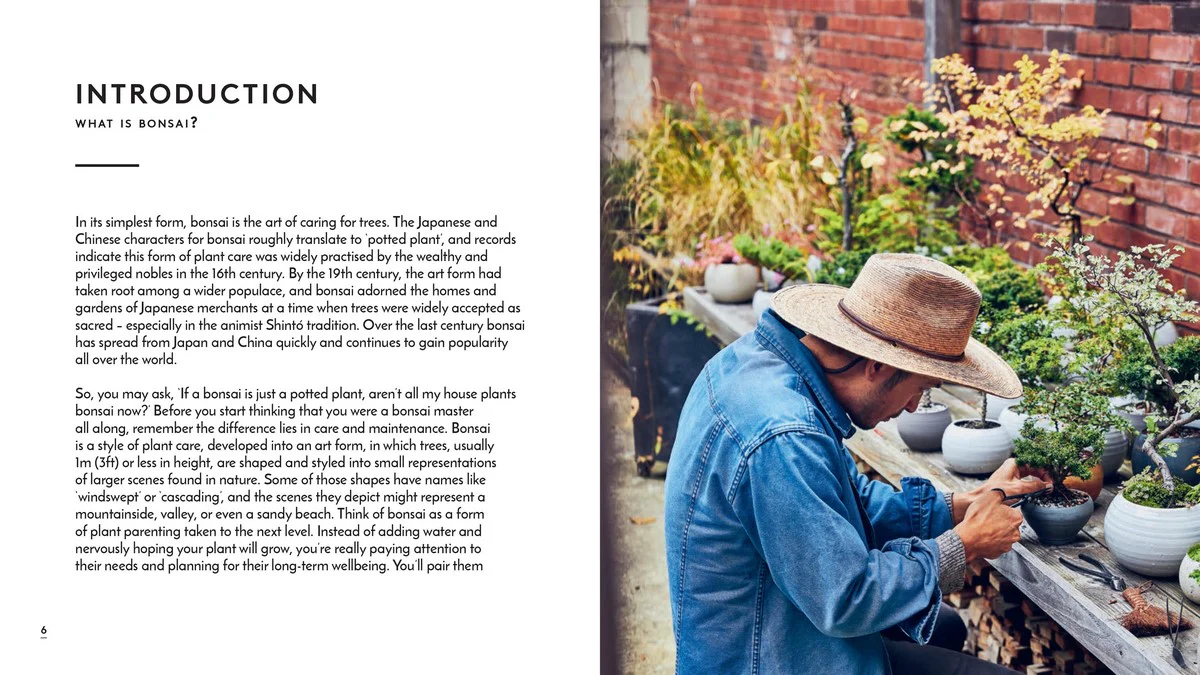 LITTLE BOOK OF BONSAI - Image 3