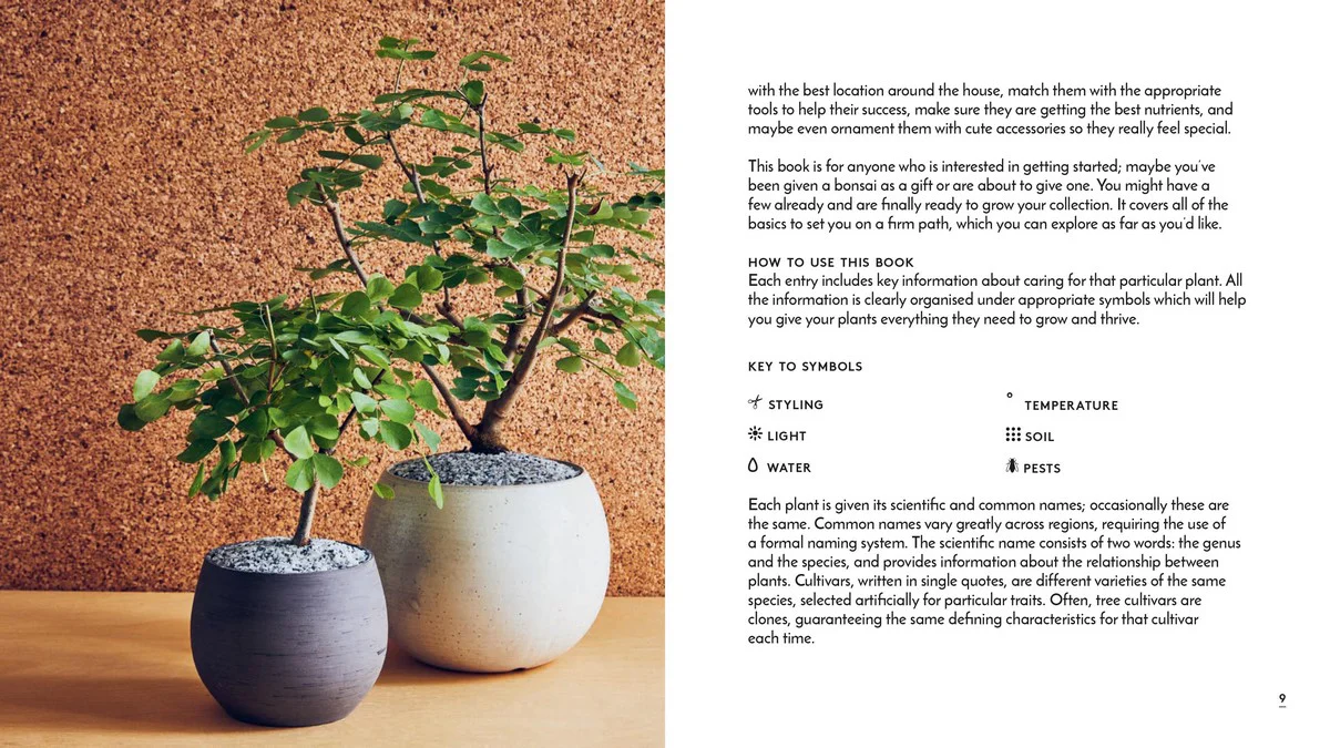 LITTLE BOOK OF BONSAI - Image 4