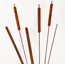 METAL BULLRUSH SHORT - Image 2