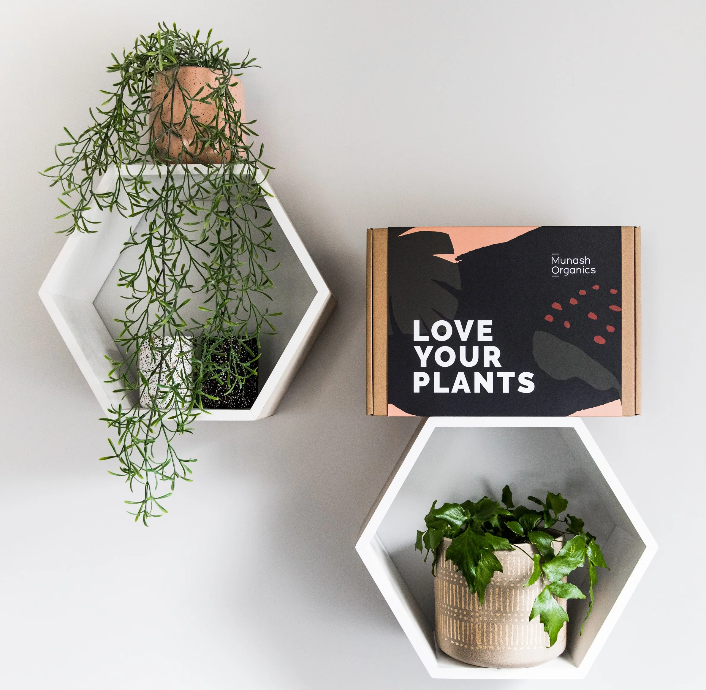 MUNASH LOVE YOUR PLANTS GIFT BOX - Image 4