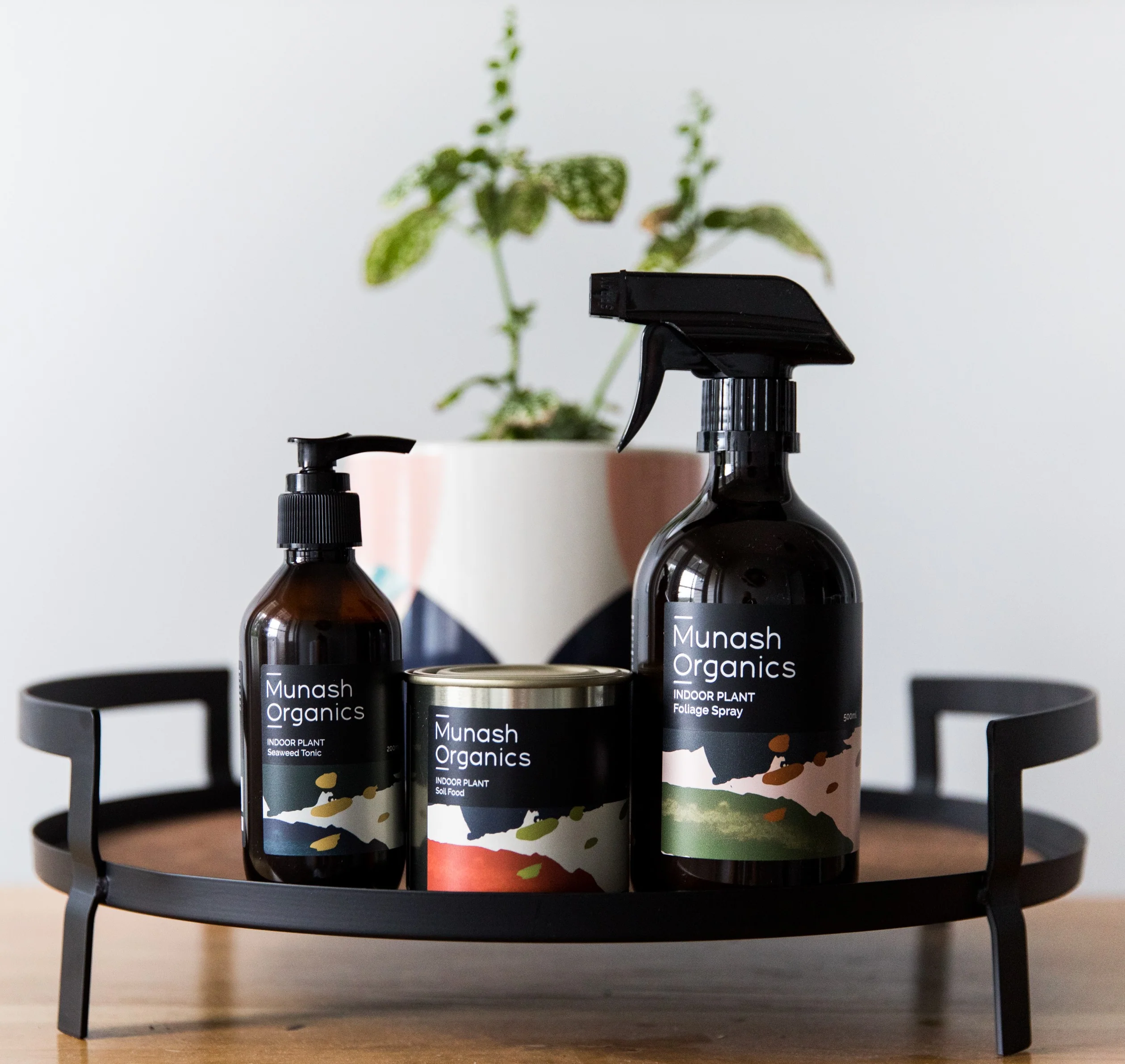 MUNASH LOVE YOUR PLANTS GIFT BOX - Image 5
