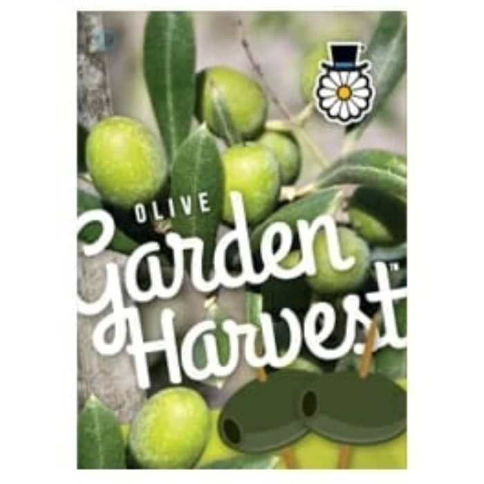 OLIVE GARDEN HARVEST 140MM - Image 3