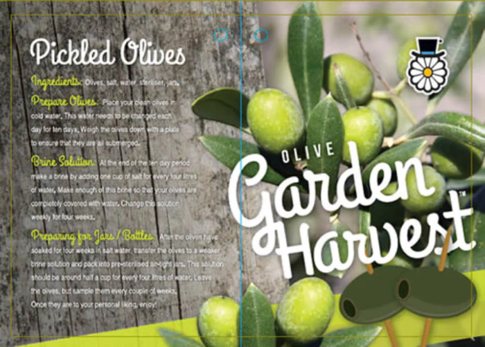 OLIVE GARDEN HARVEST DWARF 200MM POT - Image 5