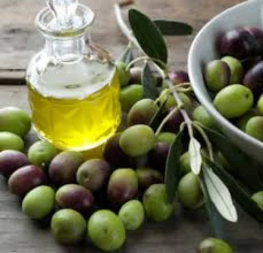 OLIVE PARAGON 200MM - Image 3