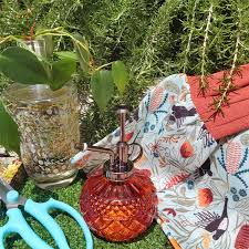 PLANT MISTER DIAMOND ORANGE - Image 2
