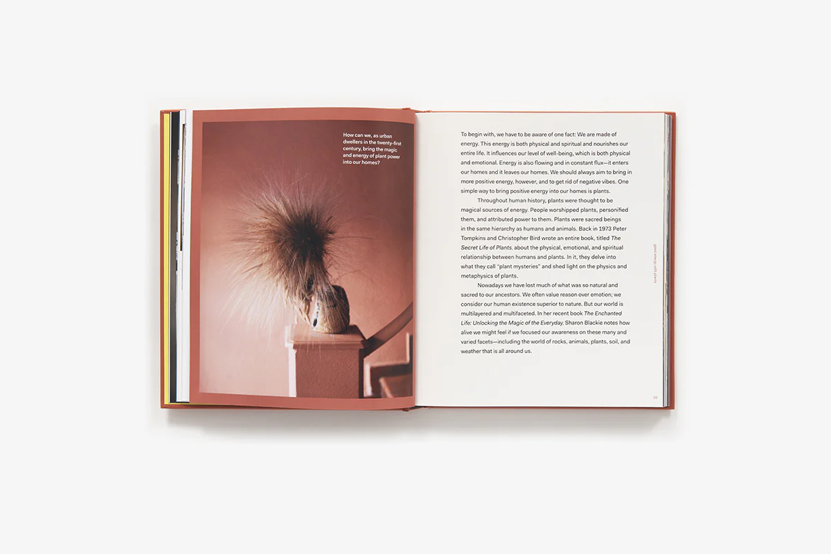 PLANT TRIBE - Image 3