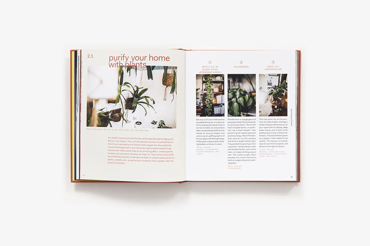 PLANT TRIBE - Image 4