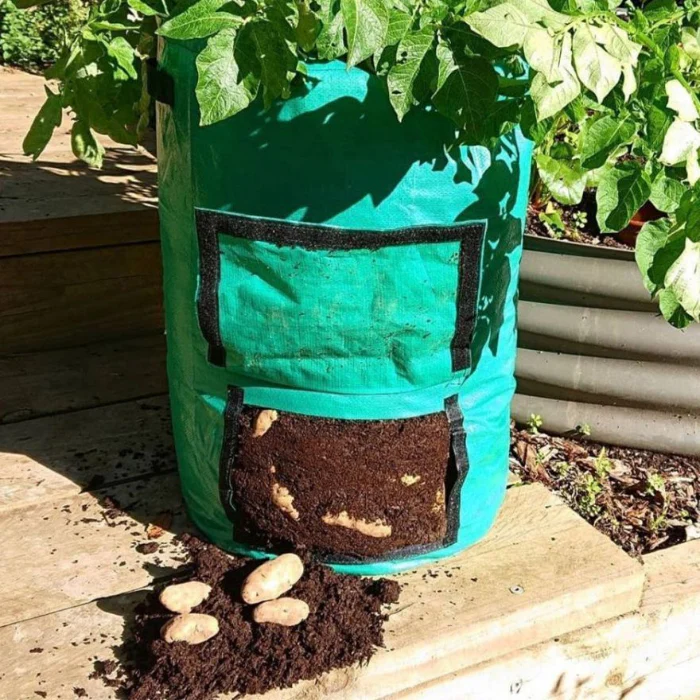 POTATO GROWING BAGS - Image 2