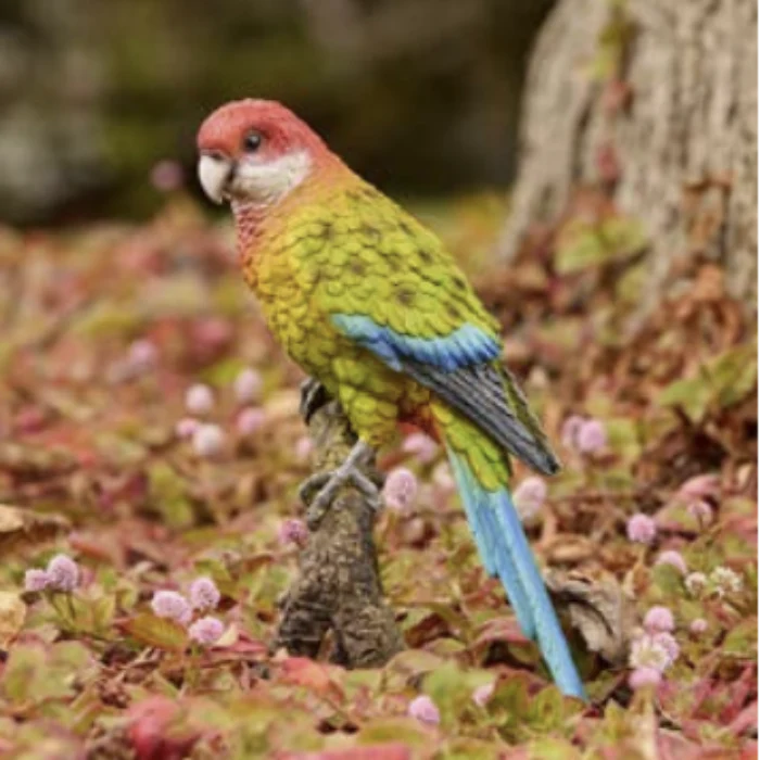 ROSELLA