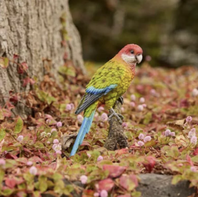 ROSELLA - Image 2