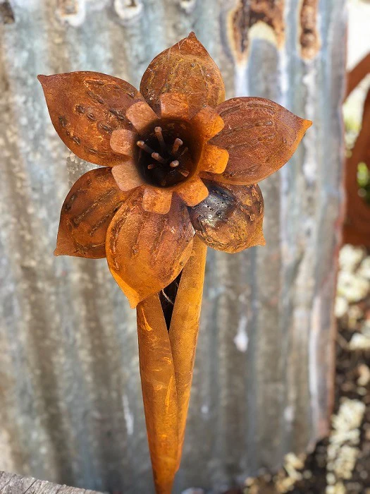 RUST DAFFODIL - Image 2