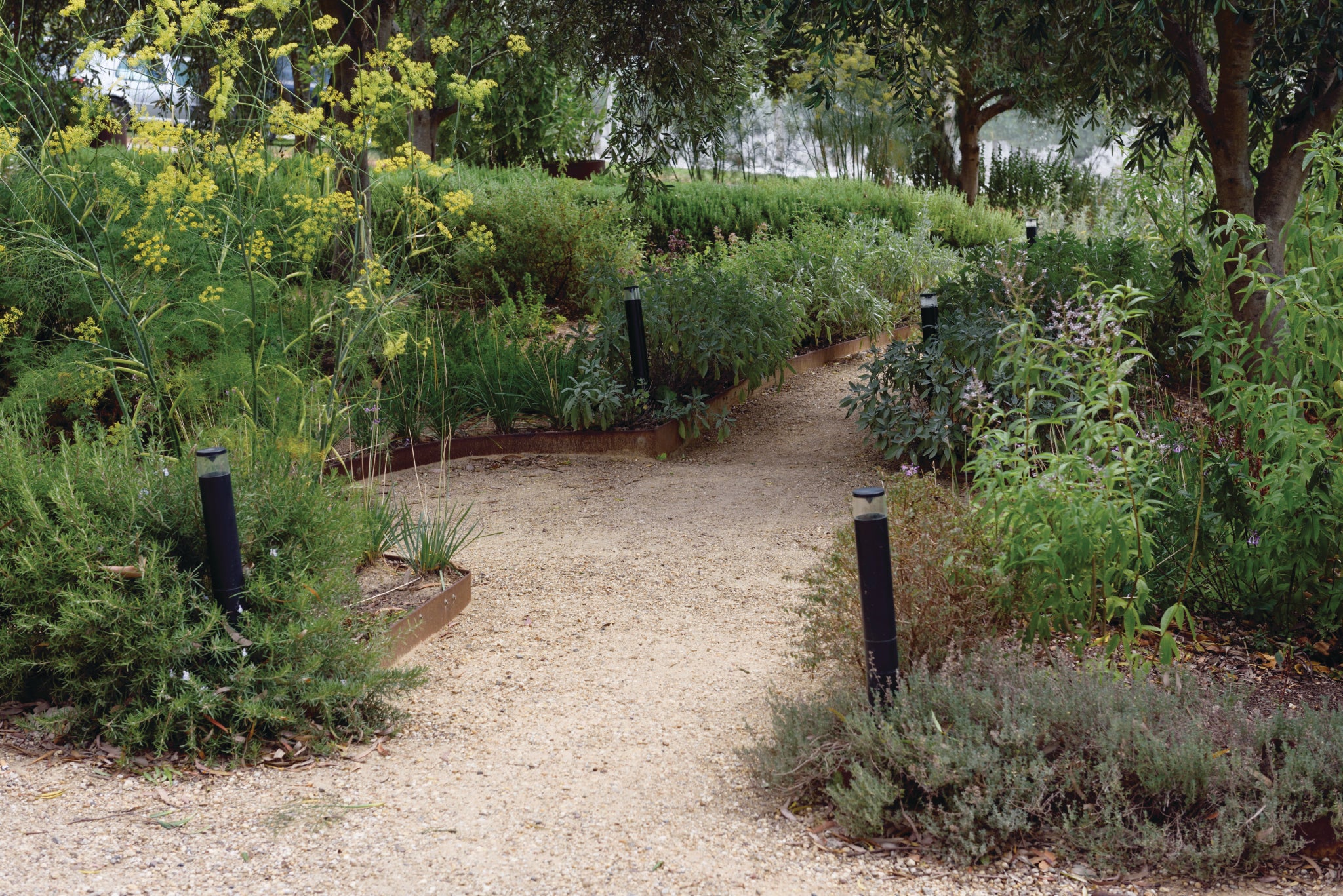 STEEL EDGING 2.44M 185X1.6MM REDCOR