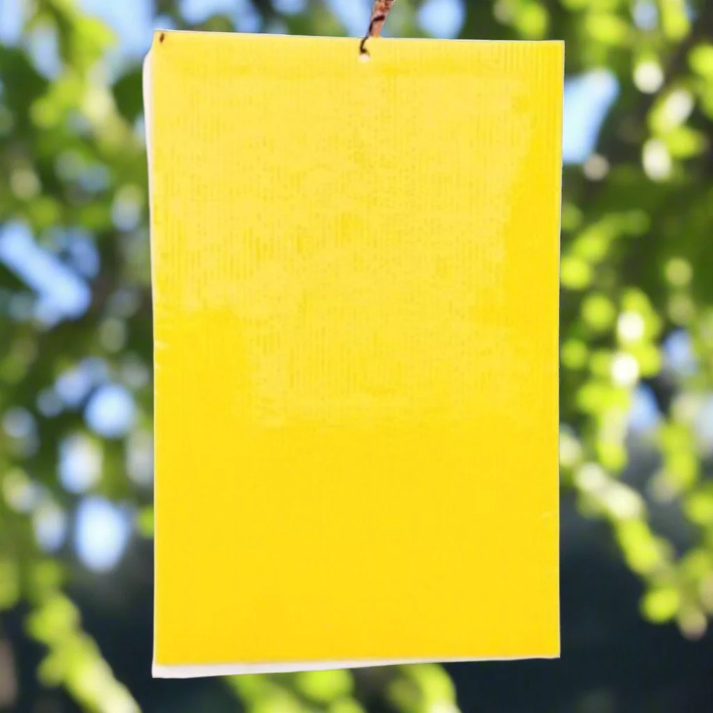 STICKY TRAP 5 PACK - Image 2