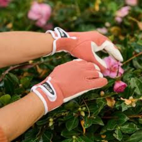 TERRACOTTA SPROUT GOATSKIN GLOVES - Image 2