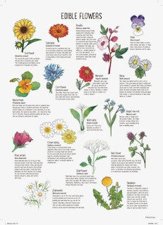 THE ALMANAC - COOL CLIMATE SOWING GUIDE - Image 2