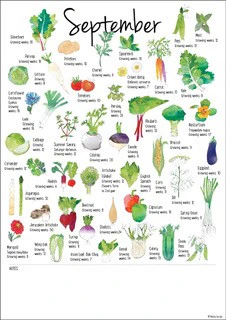 THE ALMANAC - COOL CLIMATE SOWING GUIDE - Image 3