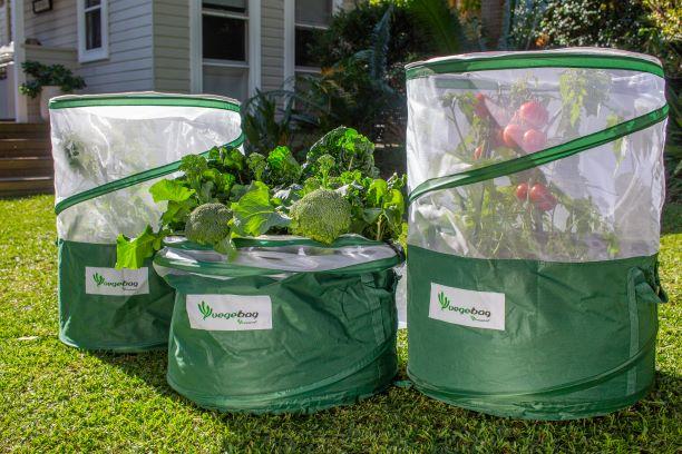 VEGEBAG VEGEPOD Needs 3 bags P/mix - Image 3