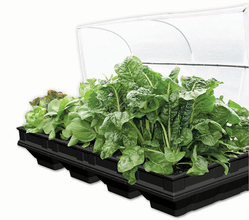 VEGEPOD - LARGE WITH COVER 2M X 1M - Image 13