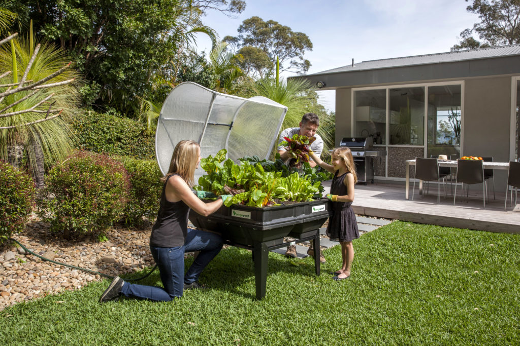 VEGEPOD - MEDIUM WITH COVER 1M X 1M - Image 8