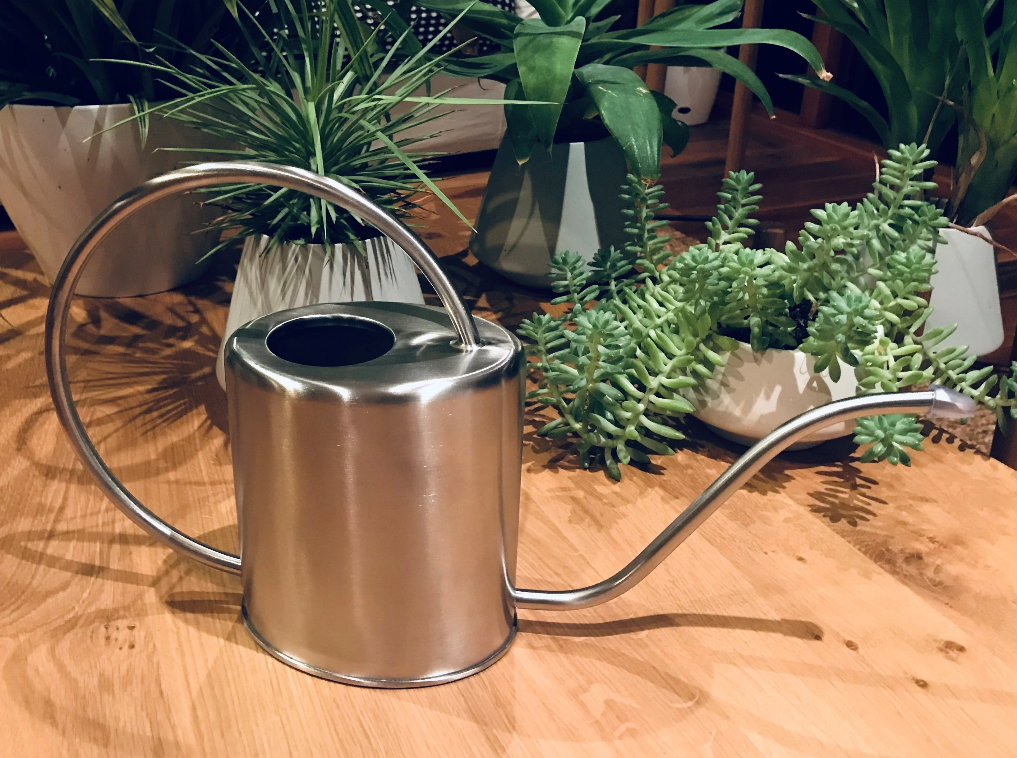 WATERING CAN 1.5L STAINLESS STEEL - Image 3